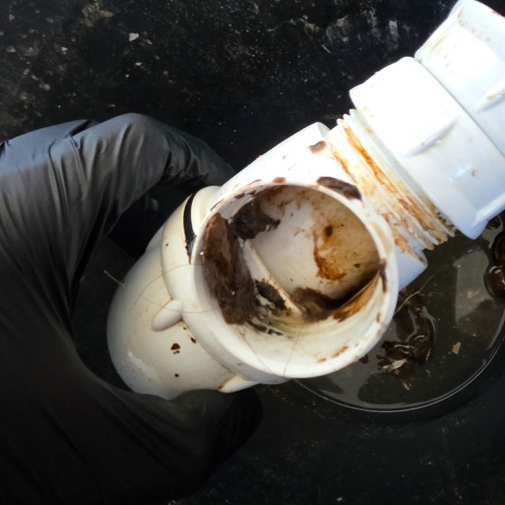 siphon encrassé
