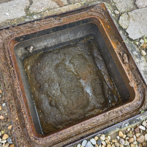 regard égout bouché